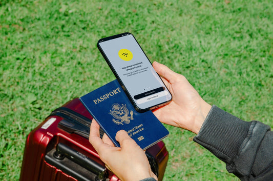 Best eSIM Providers for International Roaming in 2025 - roamyesim
