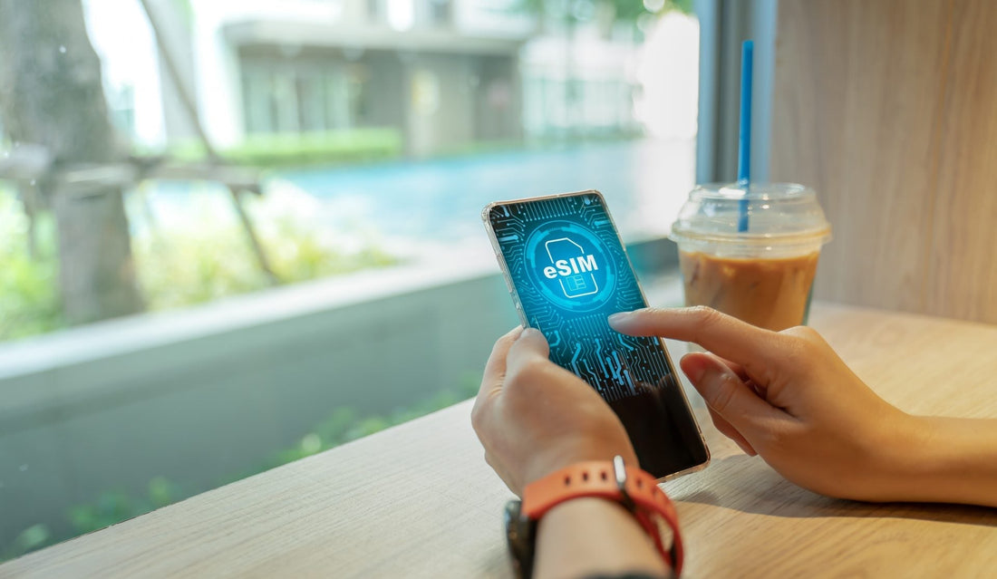 eSIM vs. Traditional SIM: Which One Should You Choose? - roamyesim